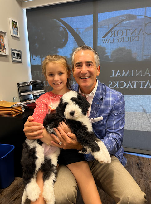 St. Louis Dog Bite Lawyers. Cantor Injury Law.