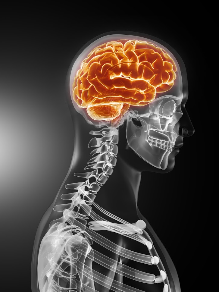 4 Key Points About Brain Injuries And Personal Injury Lawsuits